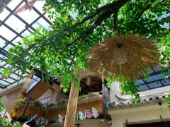-大理董·董家小厨野生菌火锅(古城旗舰店)