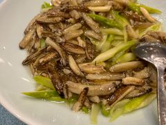 -新光酒家·河豚·海鲜·蟹料理(浦东店)