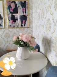 -瑞晨曦催乳产后健康(枣园店)