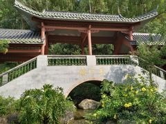 -广州神农草堂中医药博物馆