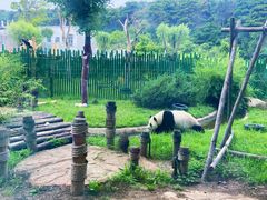 -沈阳森林动物园