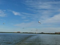 -天津东丽湖风景区