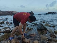 -小麦岛公园