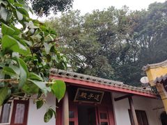 -珞珈山-售票处