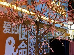 -上海苏航生活广场