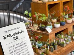 -池袋LOFT