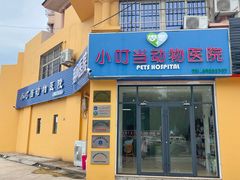 -小叮当动物医院·骨科·眼科