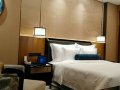 -重庆悦来温德姆酒店
