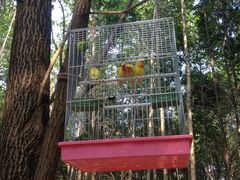 -昆山城市生态森林公园