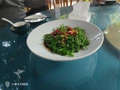 -张鸟园农家乐(张鸟园店)