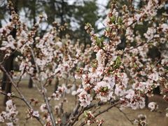 -北京大学(昌平校区)