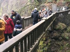 -Multnomah Falls Lodge Restaurant
