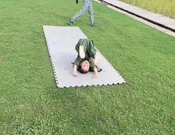 -前小桔亲子创意农场·草莓采摘·露营烧烤
