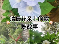 -仙岳公园
