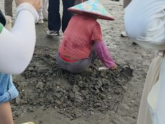 -盐洲岛