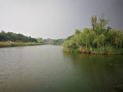 -白鹭湾湿地公园