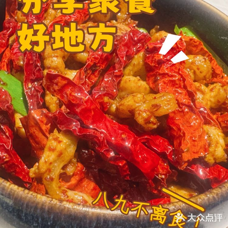 😻被这家猫咪主题餐厅辣哭,但我还想再来!