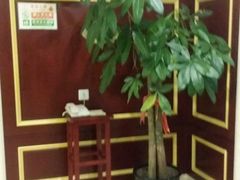 -维也纳国际酒店·上海虹桥火车站国家会展中心店