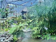 -东莞植物园