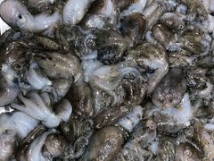 -小螺号海鲜·地道鲁菜(泉城广场店)