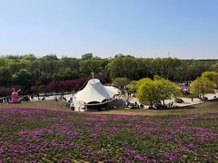 -沈阳植物园