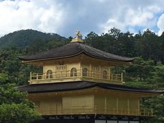 -豆政(金閣寺境内売店)