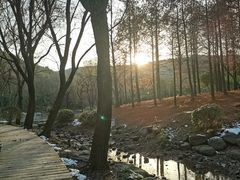 -宝界山林公园
