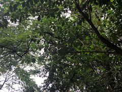 -紫金山索道-售票处