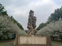 -同济大学(嘉定校区)