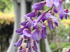 -玄武湖景区-情侣园游乐场