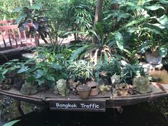 -卷心菜和避孕套餐厅(Pattaya)