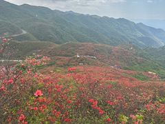 -大围山国家森林公园