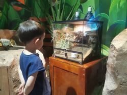 -酷嗒动物文化乐园(cutezoo西溪乐天城店)