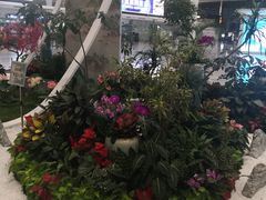 -杭州萧山国际机场