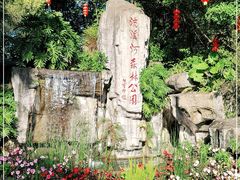 -广州市流溪河国家森林公园