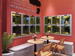 -芸山季·云南野生菌火锅(宝能环球汇店)