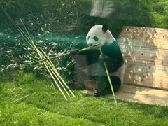 -无锡动物园·太湖欢乐园