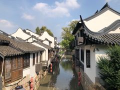 -喜杨洋草莓采摘园