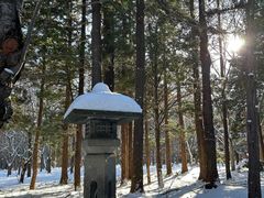 -北海道神宫
