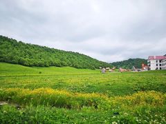 -关山草原