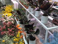 -KKV(天津津南吾悦广场店)