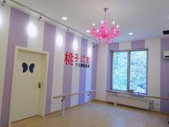 -桃子公主舞蹈培训(万柳校区)