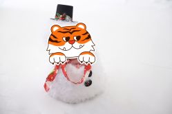 -爱儿美儿童摄影(奥森公园店)
