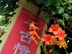 -西安世博园