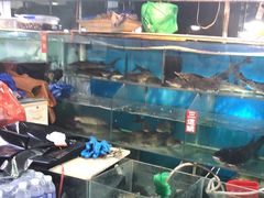 水产区-王四营海鲜市场