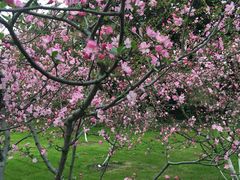 景点-柳浪闻莺公园