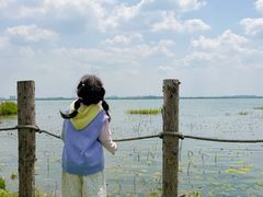 -七的湖·晚芳亭·阳澄湖农家菜·大闸蟹(莲花岛店)