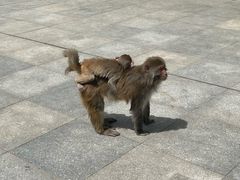 -柳州市动物园