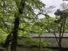 -普陀山风景区-佛顶山
