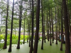 -云龙湖旅游景区